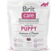 Brit Care Dog Grain-free Puppy Salmon & Potato