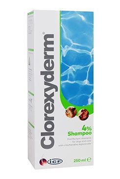 Clorexyderm šampón 4% ICF 250ml