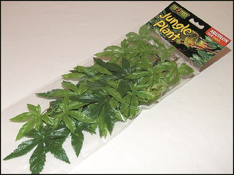 Rastlina EXO TERRA Abuliton malá 40 cm 1ks