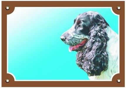 Farebná ceduľka Pozor pes Anglický koker čb