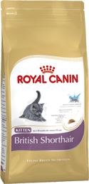Royal Canin BREED Kitten Br. Shorthair