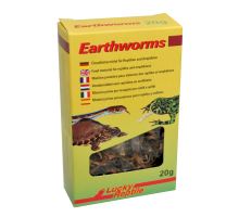Lucky Reptile Earthworms 10 g