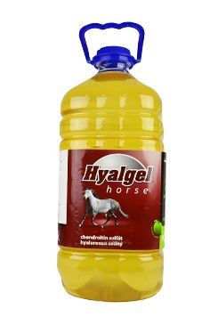 HYALGEL Horse jablko