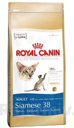 Royal canin Breed Feline Siamese