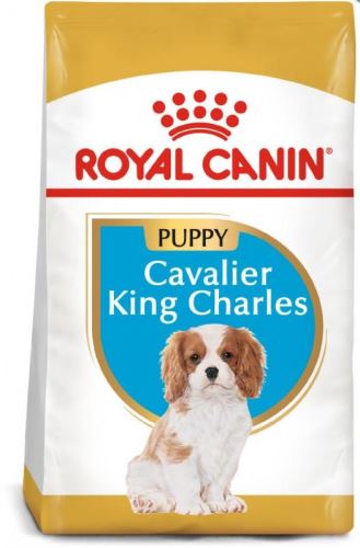 Royal Canin BREED Cavalier King Charles Junior 1,5kg