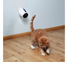 Laserová hračka pre mačky 11 cm, bielo / modrá
