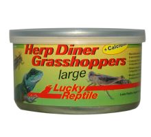 Lucky Reptile Herp Diner sarančata - cca 20 velkých