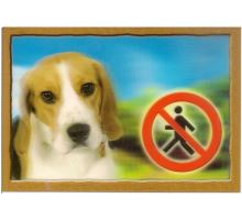 Ceduľka 3D Pozor pes Beagle
