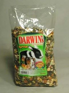 Darwin morča, králik special