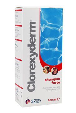 Clorexyderm forte šampón ICF 200ml