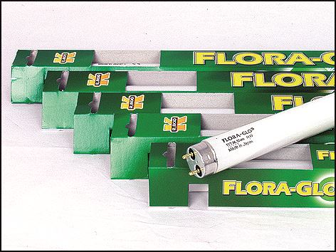 Žiarivka Flora Glo T8 - 120 cm 40W
