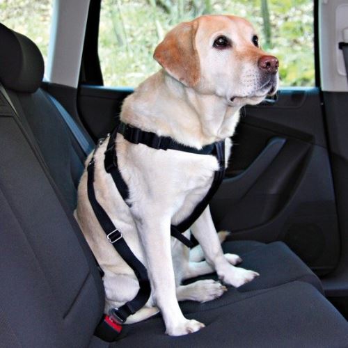 Postroj pes Bezpečnostný do auta