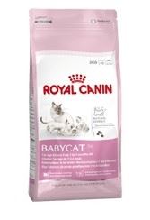 Royal Canin Growth Baby Cat