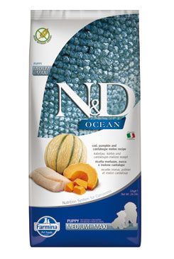N & D OCEAN DOG Puppy M / L Codfish & Pumpkin & Melon