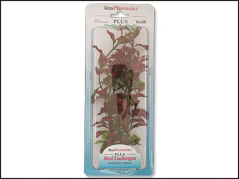 Rastlina Red Ludwigia 23 cm 1ks