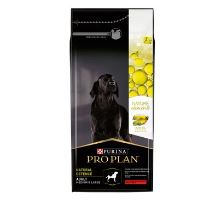 ProPlan Dog Adult Med &amp; Large Defence hovädzie 10kg