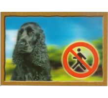 Ceduľka 3D Pozor pes Anglický kokeršpaniel čierny