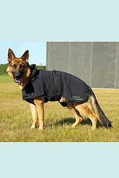 Oblek Rehab Dog Blanket Softshell Jazvečík KRUUSE