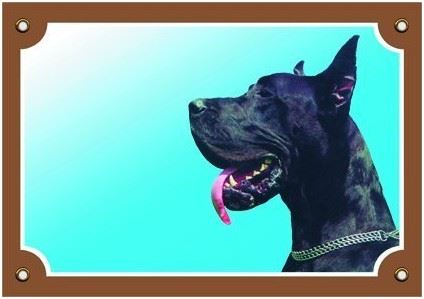 Farebná ceduľka Pozor pes Doga čierna