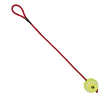 Vrhacie tenisový loptu s labkou na šnúre 6 cm / 50 cm