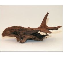 Koreň Driftwood 20 - 45 cm 1ks