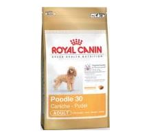 Royal Canin BREED Pudel