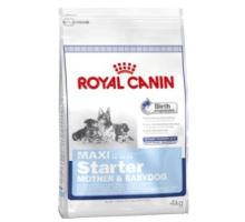 Royal Canin Maxi Starter M & B