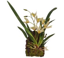 Lucky Reptile Závěsná orchidej - bílá cca 20x30 cm