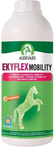 Ekyflex Mobility 1L