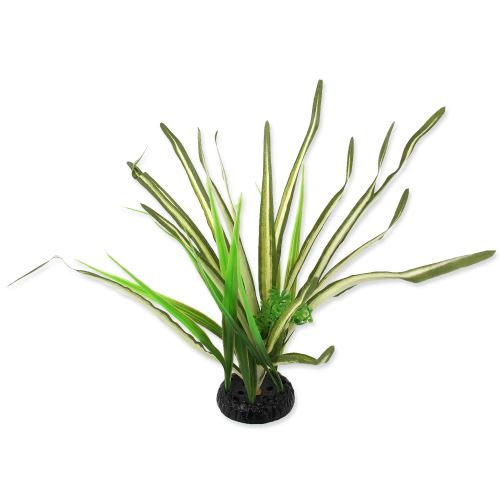 Rastlina reptať PLANET tráva Spartina 30 cm 1ks