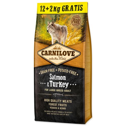CARNILOVE Salmon & Turkey for Large Breed Adult Dogs 12kg