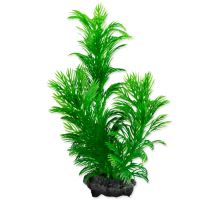 Rastlina TETRA Green Cabomba S
